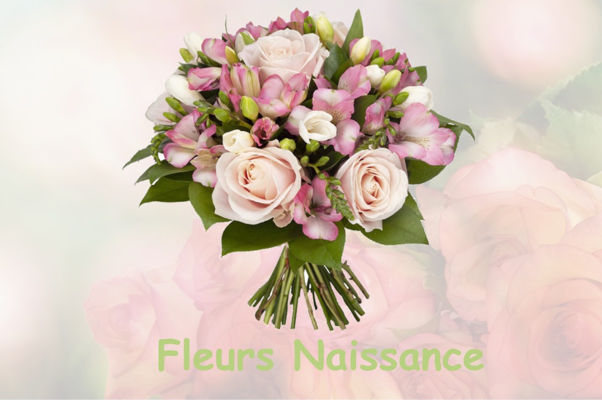 fleurs naissance TERCIS-LES-BAINS