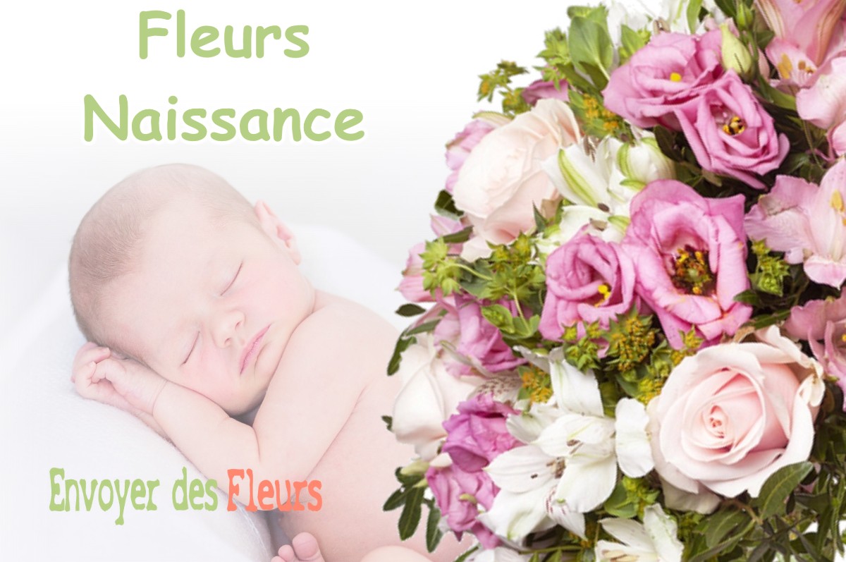 lIVRAISON FLEURS NAISSANCE à TERCIS-LES-BAINS